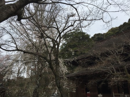 f:id:bennybebad:20160409195205j:plain