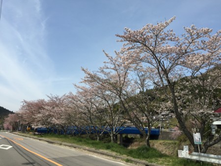 f:id:bennybebad:20160409195218j:plain