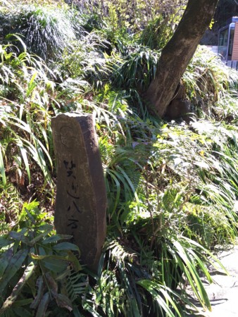 f:id:bennybebad:20160523204648j:plain f:id:bennybebad:20160523204648j:plain