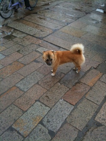 f:id:benton:20100306111445j:image