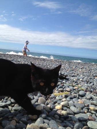 f:id:benton:20120814142141j:image f:id:benton:20120814142141j:image