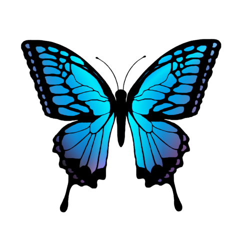 f:id:berry666:20140329234437j:plain f:id:berry666:20140329234437j:plain