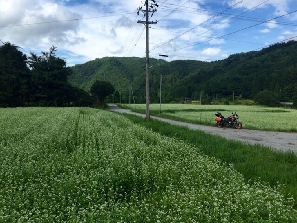 f:id:beru900r:20150818072210j:image f:id:beru900r:20150818072210j:image