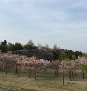f:id:betty1:20150413131049j:plain f:id:betty1:20150413131049j:plain