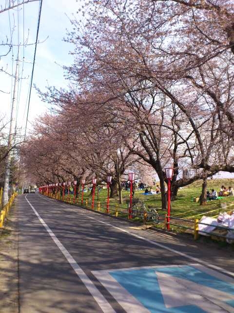 f:id:bibbidi-bobbidi-do:20120407150059j:image:w360