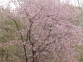 f:id:bic:20180502191816j:image