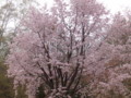 f:id:bic:20180502192517j:image