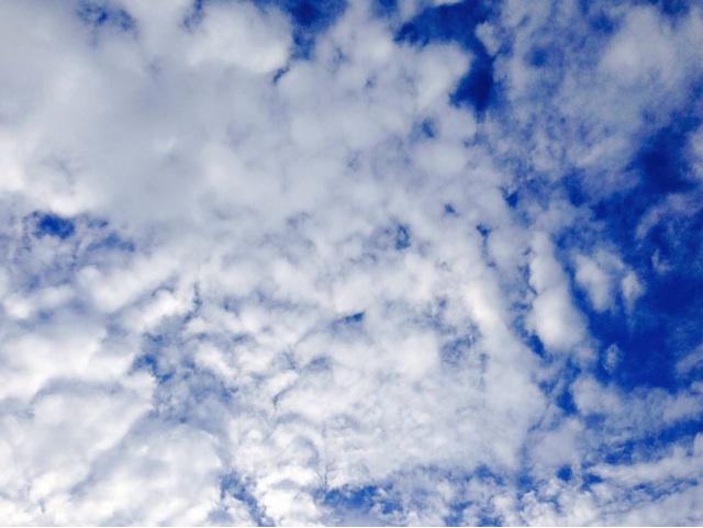 f:id:big-harbor-sun:20140822114841j:plain f:id:big-harbor-sun:20140822114841j:plain