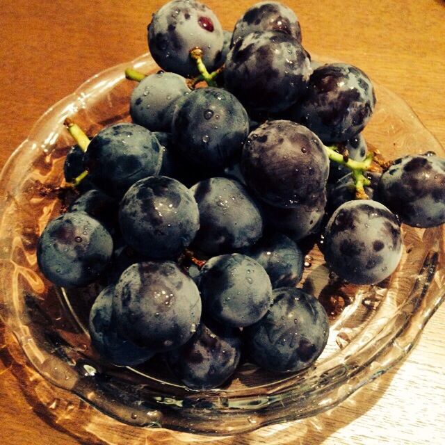 f:id:big-harbor-sun:20140822120124j:plain f:id:big-harbor-sun:20140822120124j:plain