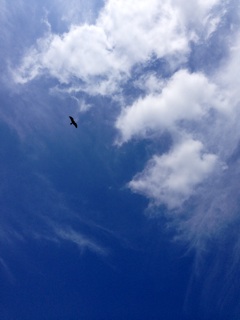 f:id:big-harbor-sun:20140911151622j:plain f:id:big-harbor-sun:20140911151622j:plain