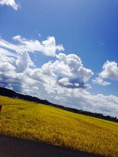 f:id:big-harbor-sun:20140914231154j:plain f:id:big-harbor-sun:20140914231154j:plain