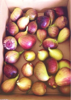 f:id:big-harbor-sun:20140929103018j:plain f:id:big-harbor-sun:20140929103018j:plain