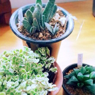 f:id:big-harbor-sun:20140929103132j:plain f:id:big-harbor-sun:20140929103132j:plain