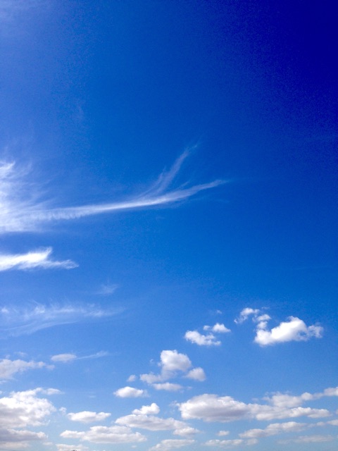 f:id:big-harbor-sun:20141015160228j:plain f:id:big-harbor-sun:20141015160228j:plain