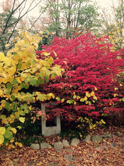 f:id:big-harbor-sun:20141109201202j:plain f:id:big-harbor-sun:20141109201202j:plain