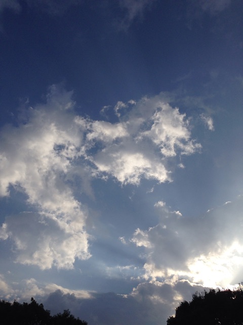 f:id:big-harbor-sun:20141129211052j:plain f:id:big-harbor-sun:20141129211052j:plain