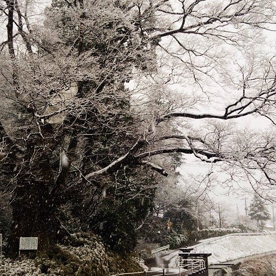 f:id:big-harbor-sun:20141206231803j:plain f:id:big-harbor-sun:20141206231803j:plain