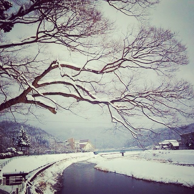 f:id:big-harbor-sun:20150129182247j:plain f:id:big-harbor-sun:20150129182247j:plain