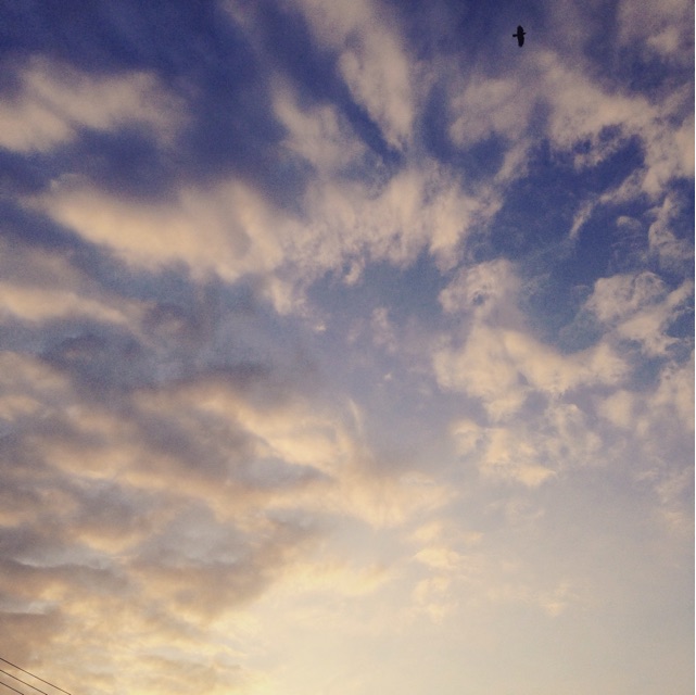 f:id:big-harbor-sun:20150307153351j:plain f:id:big-harbor-sun:20150307153351j:plain