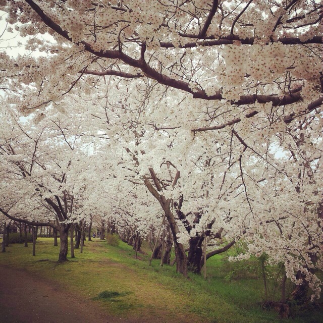 f:id:big-harbor-sun:20150411212908j:plain f:id:big-harbor-sun:20150411212908j:plain
