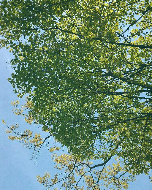 f:id:big-harbor-sun:20160425211630j:image f:id:big-harbor-sun:20160425211630j:image