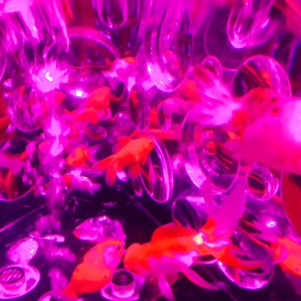 f:id:bihiki:20150816221626j:image f:id:bihiki:20150816221626j:image
