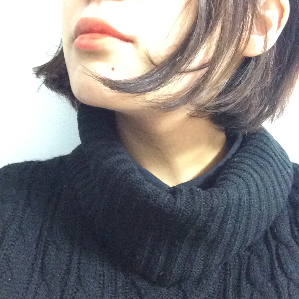 f:id:bihiki:20151216040152j:image f:id:bihiki:20151216040152j:image