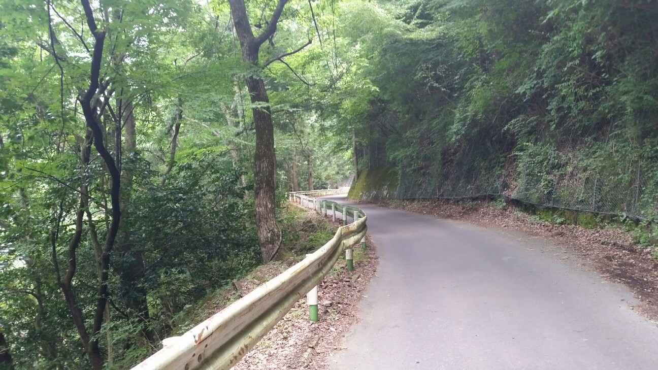 f:id:bike-camera:20150819130326j:image f:id:bike-camera:20150819130326j:image