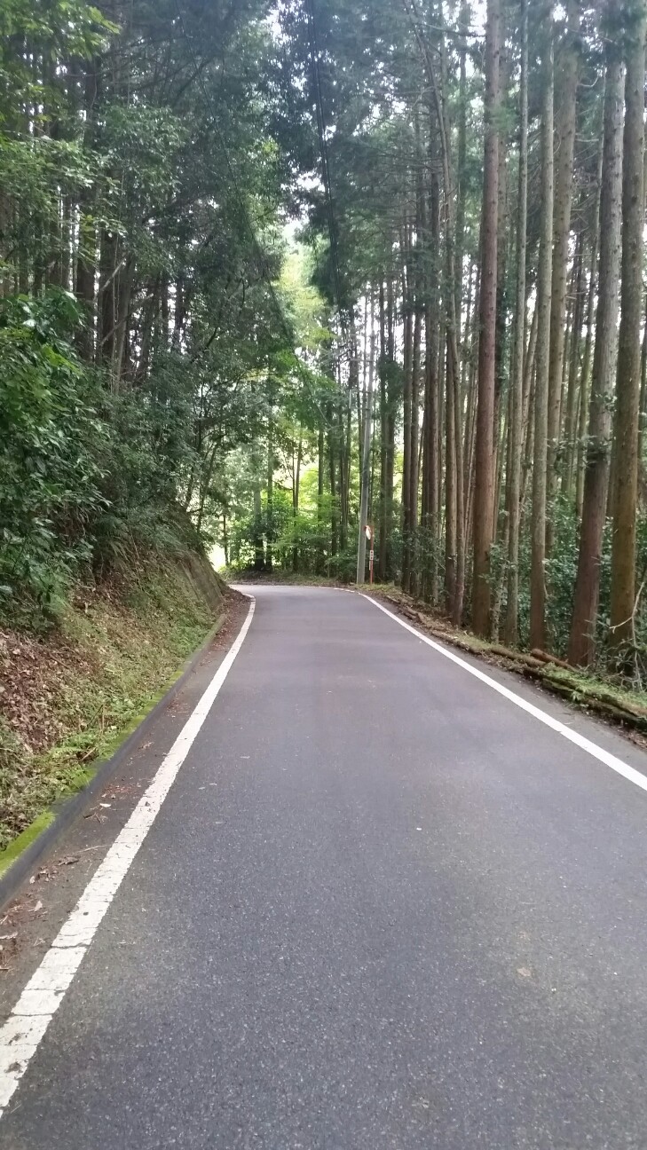 f:id:bike-camera:20150928210552j:image f:id:bike-camera:20150928210552j:image