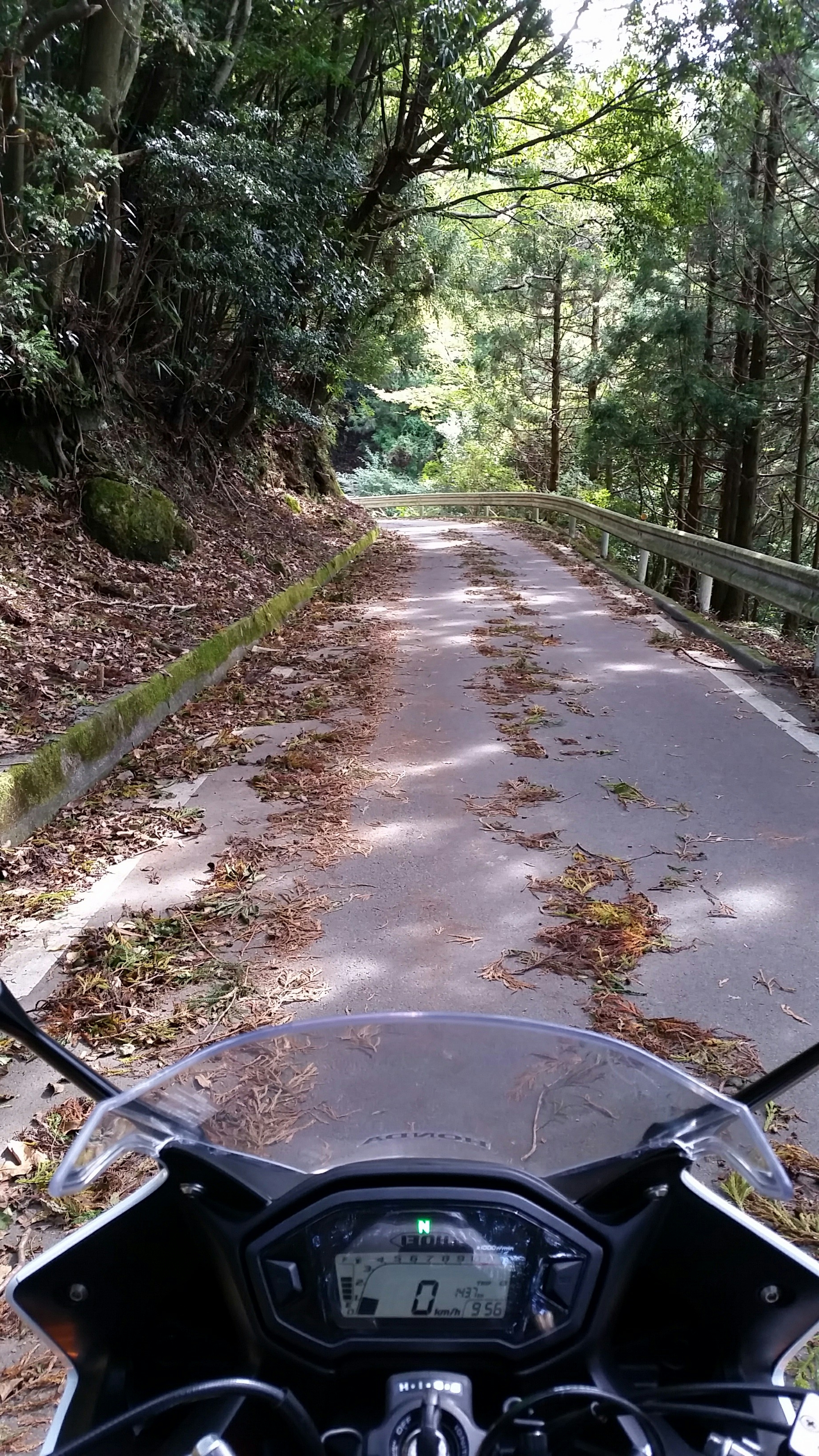 f:id:bike-camera:20151024125501j:image f:id:bike-camera:20151024125501j:image