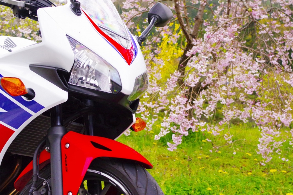 f:id:bike-camera:20160531232640j:plain f:id:bike-camera:20160531232640j:plain