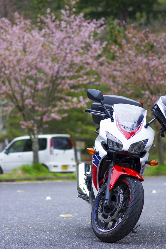 f:id:bike-camera:20160531232652j:plain f:id:bike-camera:20160531232652j:plain