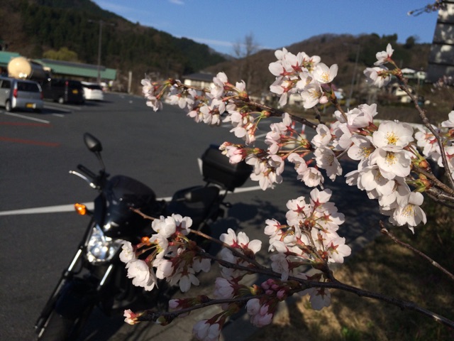 f:id:bikedane:20150406075645j:plain f:id:bikedane:20150406075645j:plain