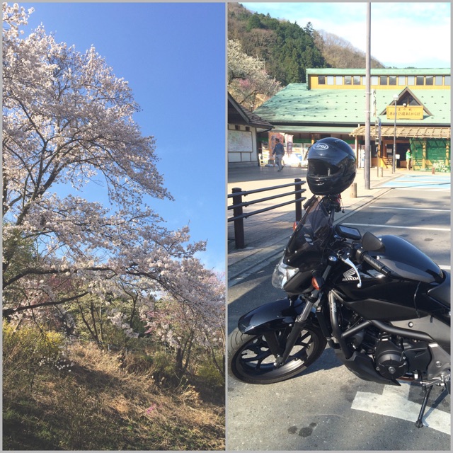 f:id:bikedane:20150406081051j:plain f:id:bikedane:20150406081051j:plain