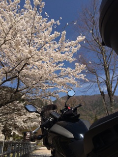 f:id:bikedane:20150417084512j:plain f:id:bikedane:20150417084512j:plain