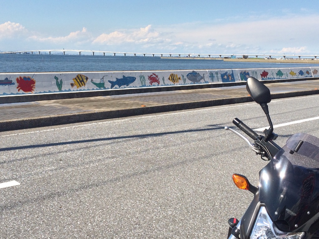 f:id:bikedane:20150912001806j:image f:id:bikedane:20150912001806j:image
