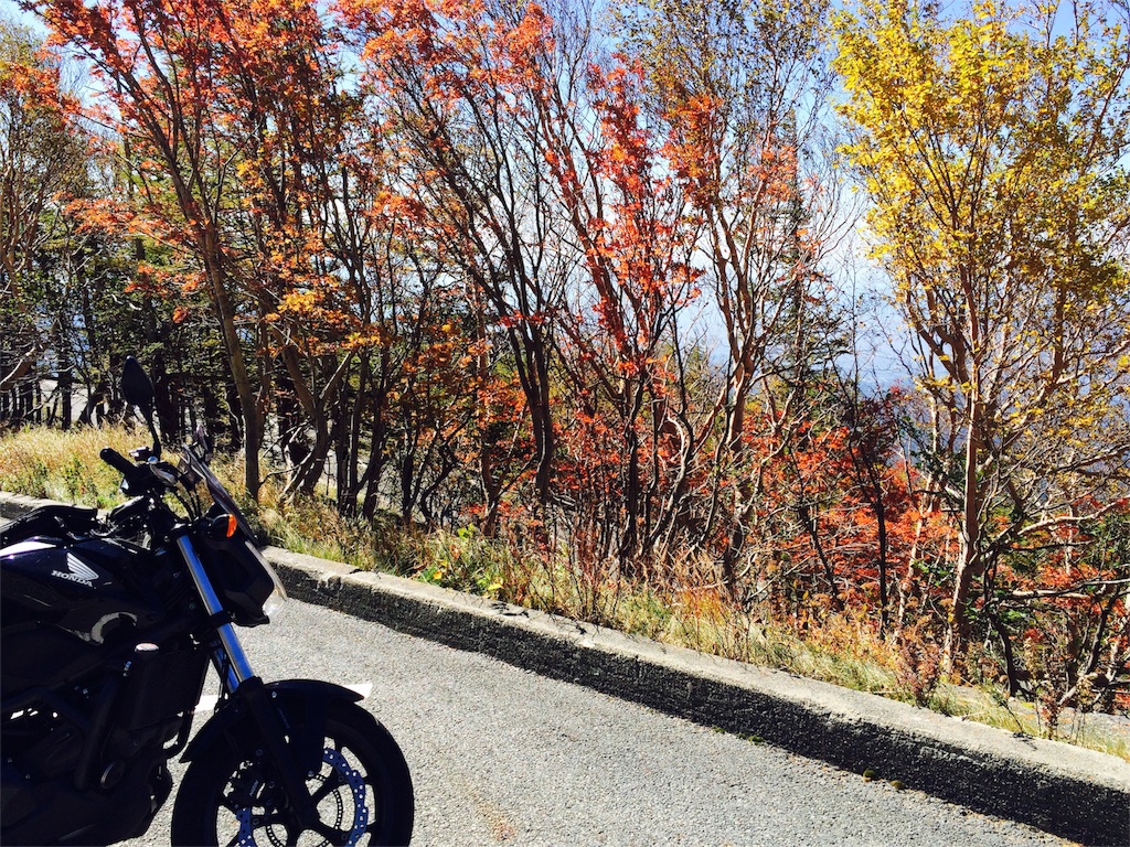 f:id:bikedane:20151009094757j:image f:id:bikedane:20151009094757j:image