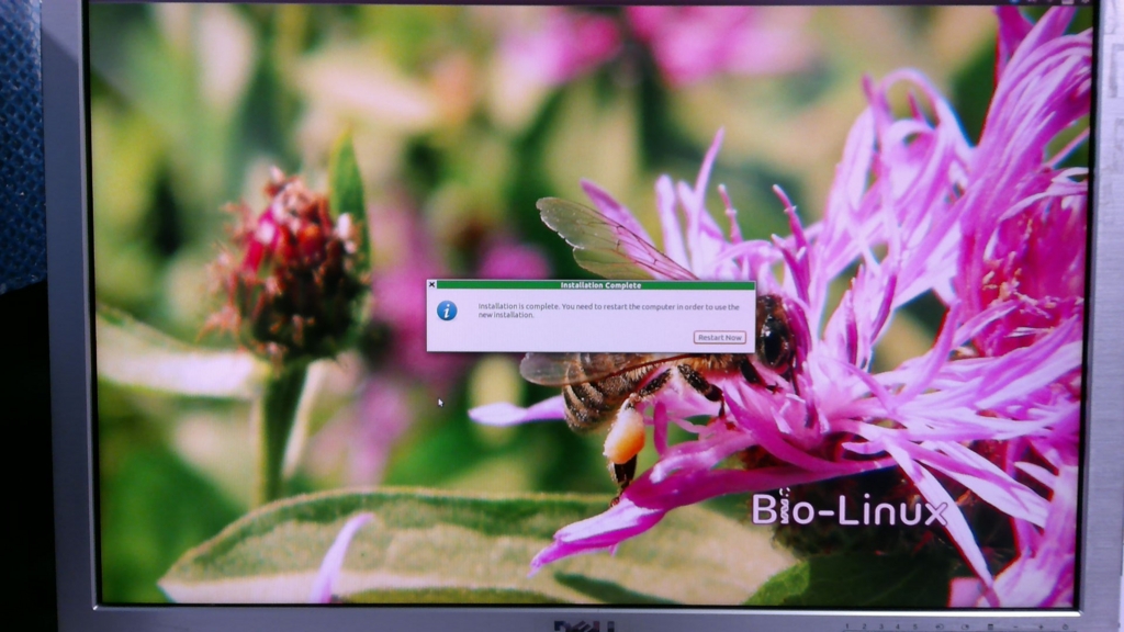 f:id:biodata:20150907221143j:plain f:id:biodata:20150907221143j:plain