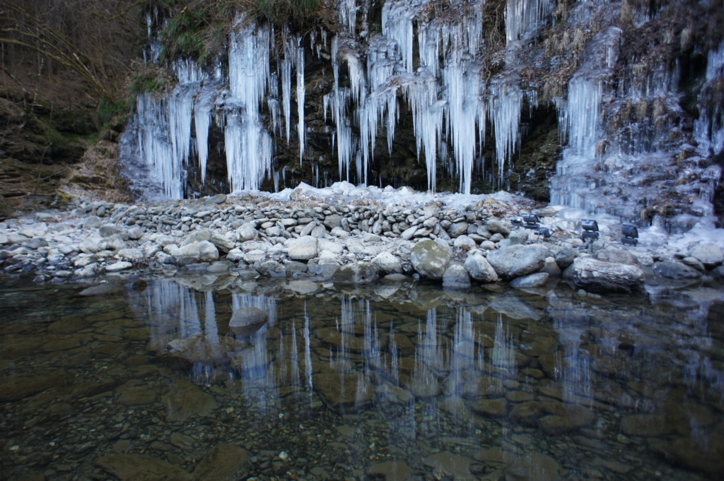 f:id:bioweb:20140113001513j:plain f:id:bioweb:20140113001513j:plain