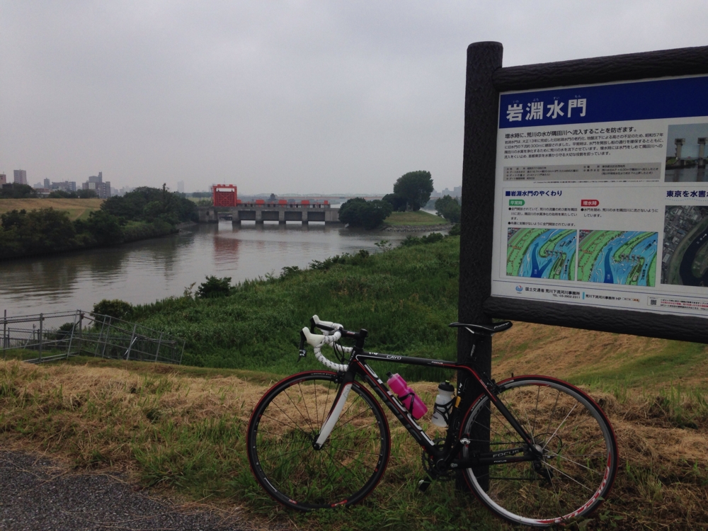 f:id:birdathlete:20140910220749j:plain f:id:birdathlete:20140910220749j:plain