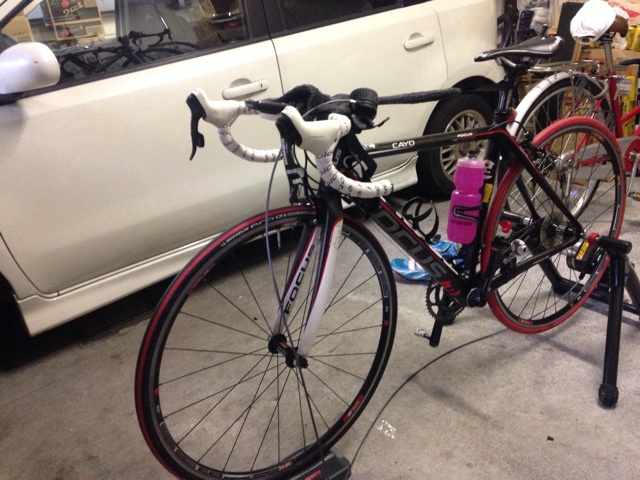 f:id:birdathlete:20140916093019j:plain f:id:birdathlete:20140916093019j:plain