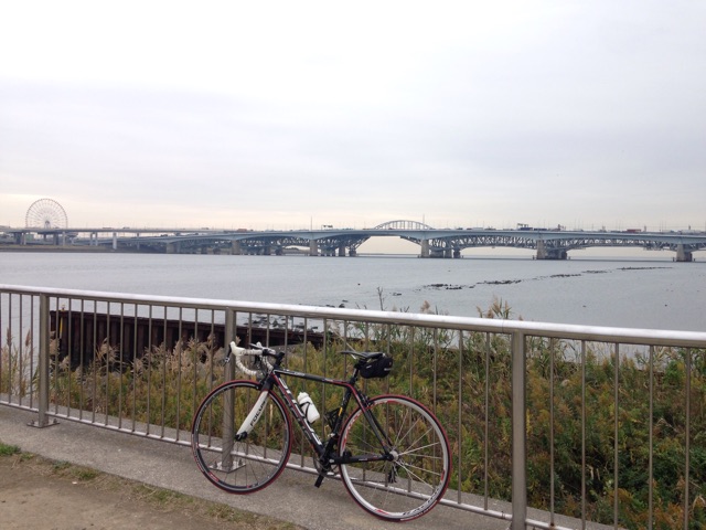 f:id:birdathlete:20141113092225j:plain f:id:birdathlete:20141113092225j:plain