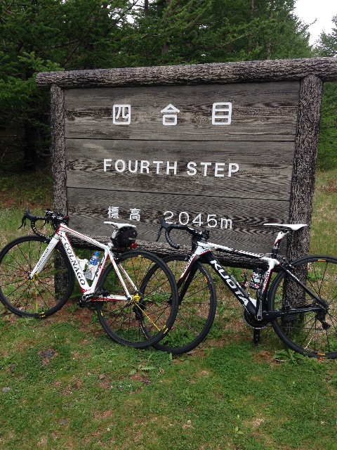 f:id:birdathlete:20150610093852j:image f:id:birdathlete:20150610093852j:image
