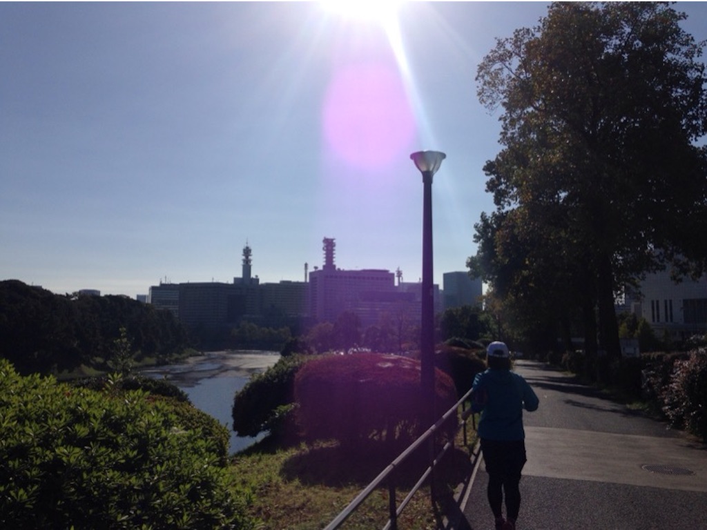 f:id:birdathlete:20151028085335j:image f:id:birdathlete:20151028085335j:image