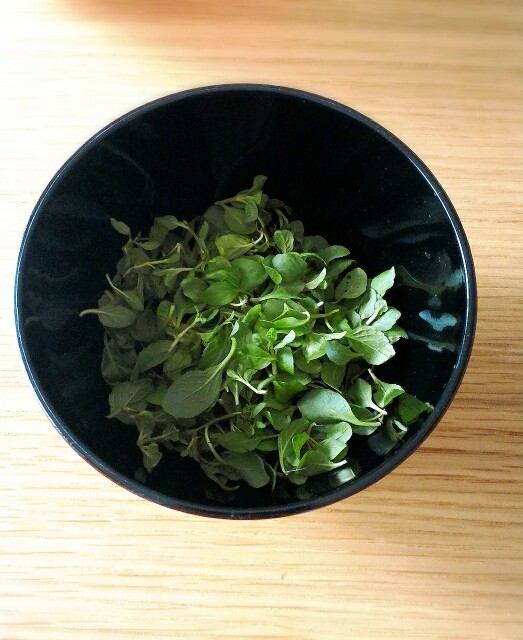 f:id:bitchyamadiaries:20150604193921j:image f:id:bitchyamadiaries:20150604193921j:image