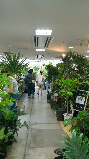 f:id:bitchyamadiaries:20150621172430j:image f:id:bitchyamadiaries:20150621172430j:image