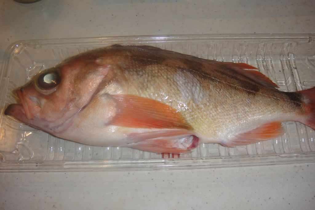 f:id:bitterharvest:20160330200910j:plain