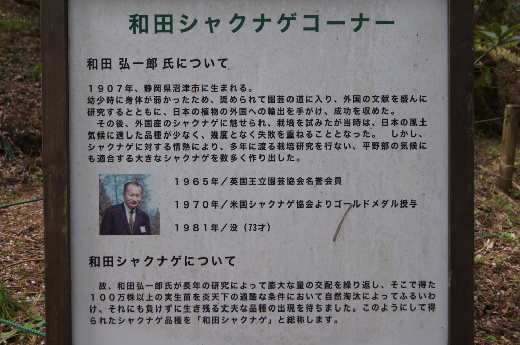 f:id:bitterharvest:20160414201824j:plain f:id:bitterharvest:20160414201824j:plain