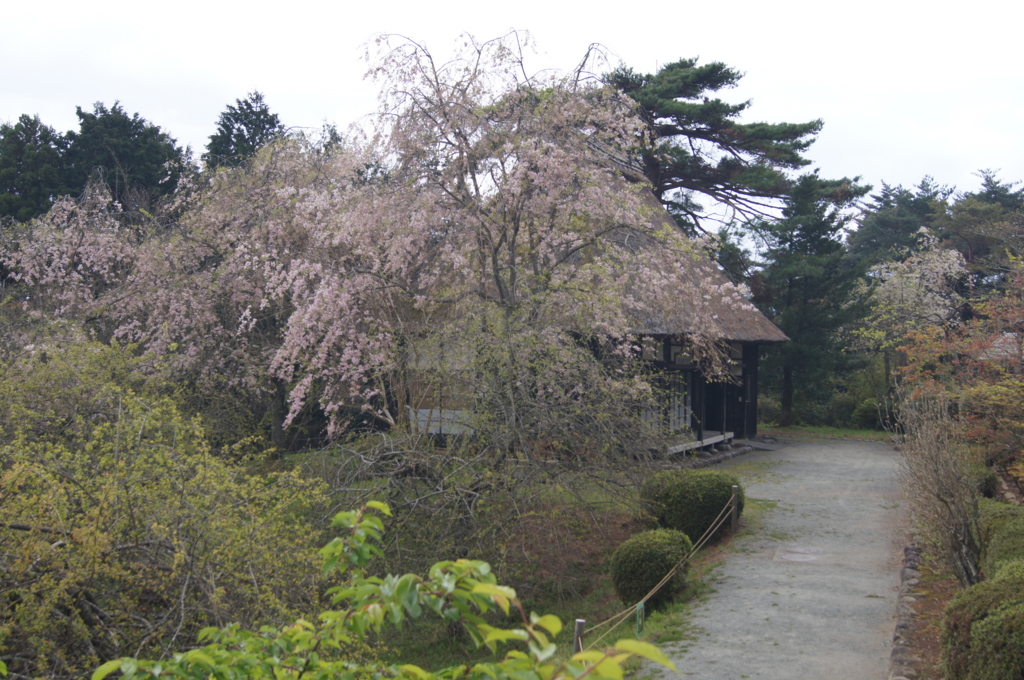 f:id:bitterharvest:20160414203217j:plain f:id:bitterharvest:20160414203217j:plain