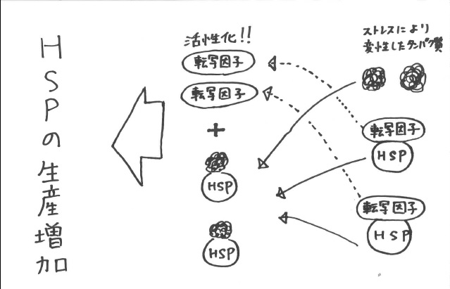 f:id:biwaoukoku:20160205111607j:plain